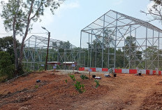 Hadirkan Rusa di Balai Kota Merah Putih,  Ini Penjelasan Wali Kota Bengkulu