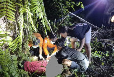 Geger, Penemuan Mayat di Area Sawit Desa Kota Praja, Diduga Pencari Brondolan Asal XIV Koto