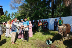 Idul Adha 1447 H, Dandim 0408/BS Serahkan Hewan Kurban untuk Anggota dan Warga