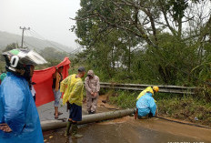 Diterjang Angin Badai Disertai Hujan, Pohon dan Tiang Listrik di Lebong Tutup Jalan