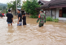 Banjir di Lebong Meluas, Sekarang 6 Kecamatan Terendam
