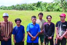 Petani, Buruh dan Mahasiswa di Bengkulu Isi HUT RI Komitmen Bangun Negeri