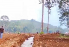 Distankan Rejang Lebong Masih Petakan Lokasi Cetak Sawah Rakyat