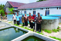 23 KMP di Kota Bengkulu Siap Kelola Ratusan Bioflok Ikan