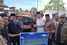  Penyembelihan Hewan Kurban   di Rejang Lebong Mencapai Segini