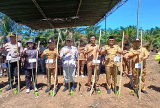 Dukung Swasembada Pangan,   Wabup Kaur Tanam Padi Gogo