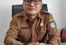 Program Beasiswa Sawit di Seluma Kembali Dibuka, Pendaftaran Segera Dimulai,  Bersiaplah!