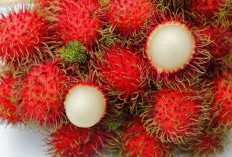 Biji Rambutan, Ini Khasiatnya Bagi Kesehatan