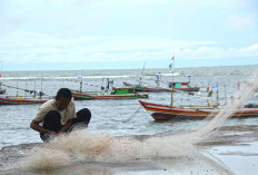 DKP Dampingi KUB Nelayan Non Aktif, Ini Jumlah KUB Tak Aktif di Bengkulu  
