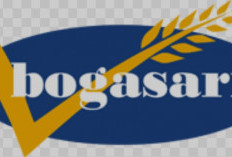 Bogasari  Mengajar, Siapkan Ribuan Kuota Magang dan Beasiswa Pelajar,  Cek Yuk... 
