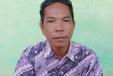 Desa Simpang Pino   Butuh Internet Desa
