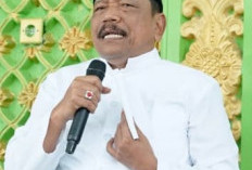 Pemprov Bengkulu Bidik PAD Sawit dan Tambang