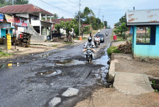 2024, 17 Nyawa Melayang di Jalan Raya Kepahiang, Didominasi dari Kalangan ini