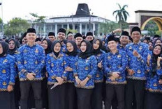 PPPK Paruh Waktu Pemprov Bengkulu Terancam Tak Dapat THR dan Gaji 13, Anggaran Tak Dianggarkan Dalam APBD 2026