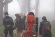 Pendaki Gunung Marapi, Begini Ceritanya Bisa Selamat