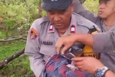 Dalami Penemuan Bayi di Bawah Jembatan Padang Guci, Polisi Amankan 2 Pemuda
