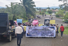 Tak Dipekerjakan, Ratusan Mantan   Honorer Demo Pemda Seluma