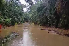 Banjir, Akses ke Riak Siabun-Mekar Sari Lumpuh, Warga Sulit Beraktivitas