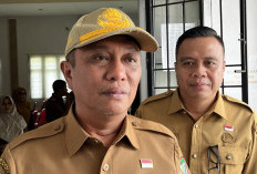 Hore THR Cair, PPPK Paruh Waktu Ikut Terima THR
