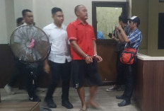 Pemilik Kayu Ditetapkan DPO, Polisi Cari Lokasi Keberadaannya