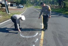 Segini Jumlah Nyawa Melayang   di Jalan Raya Rejang Lebong