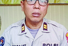Remaja Putri Diduga   Jadi Korban Asusila, Begini Kejadiannya