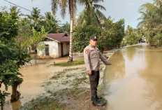 Seluma Dilanda Banjir, 70 Rumah Terendam, Ini Pemicunya