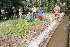 Wujudkan Ketahanan Pangan, Ini yang Dilakukan Kodim 0408 BSK