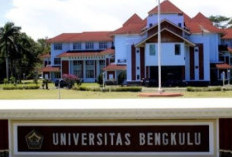 Bangga.. Terima 69 Sertifikat Internasional,  Unib Jadi Perguruan Tinggi Rujukan Akreditasi Internasional 