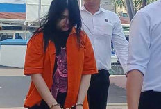 Dalami Keterlibatan Pihak Lain, Korban Investasi Bodong Diminta Segera Melapor