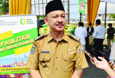 Pasokan Beras Aman, Ini Pernyataan Kepala Dinas Ketahanan Pangan Provinsi Bengkulu