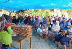 Luar Biasa, Masyarakat Dapat Telur Ayam Gratis , Program Ketahanan Pangan Pemdes  Ini