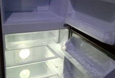 Punya Kulkas, Ini Tips Mencegah Timbulnya Bunga Es di Dalamnya