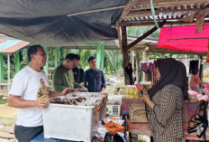 Pantau Pasar Harian, Bupati   Cek Harga Kebutuhan Pokok