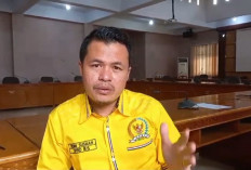 Cuaca Ekstrem Melanda BS, Dewan Desak DLHK Antisipasi Pohon Tumbang