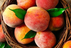 Buah Persik Bisa Bikin Wajah Glowing, Ini Kata Ahli 