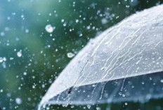 Prediksi BMKG, Daerah yang Alami Hujan Lebat Hari Ini, Senin 23 Juni 2025, Waspadalah!