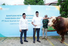 Wujud Nyata Ekonomi Berkeadilan, BSI Salurkan Lebih dari 24 Ribu Hewan Kurban, Naik 57%