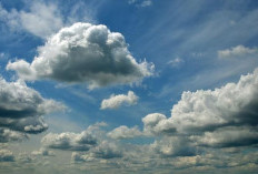 Prakiraan Cuaca Bengkulu Selatan Kamis, 8 Mei 2025: Cerah Berawan Masih Mendominasi, Hujan Ringan Sore Hari