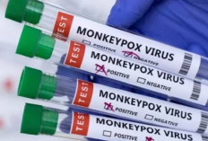 Kasus Cacar Monyet Meningkat, Kemenkes Berikan Vaksin Gratis, Ini Efek Sampingnya