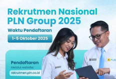 PLN Group Nasional Buka Lowogan Kerja, Cek  Syarat dan Jurusan Yang Dibutuhkan 