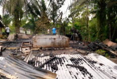 Sijago Merah kembali Ngamuk, Rumah Warga Marga Jaya Hangus, Diduga Ini Pemicunya