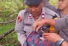 Ibu Bayi Diduga Masih Mahasiswi, Sempat Minta Dinikahkan, 2 Pria Diamankan Polisi