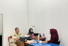 Akui Kesalahan Tebang Pohon di Pantai Panjang, Oknum ASN Dijatuhi Hukuman  Ini