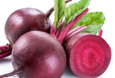 Waspada! Meski Sehat, 4 Efek Samping  Konsumsi Buah Bit Terlalu Banyak  Untuk Kesehatan 