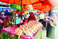 Pastikan Sembako Tak Melonjak, Tim Dinas Perdagangan Kota Bengkulu Cek Harga Sembako di Pasar 