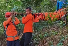 Medan Terjal dan Berbatu, TimSAR butuh 3,5 Jam Evakuasi Jenazah Pendaki Gunung Manrolo
