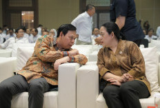 MK Pisah Pemilu Lokal dan Nasional, Ketua DPD RI Tekankan Ini Pada Penyelenggara