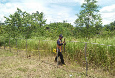  Pemda Benteng Siapkan 3 Lahan untuk Ini
