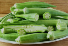 Mendukung Perkembangan Otak Janin, Ini Manfaat  Okra Bagi Ibu Hamil 